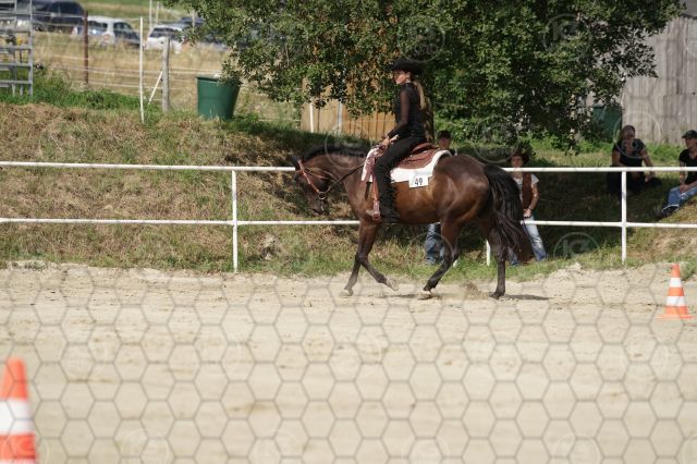s_K3F07330.JPG